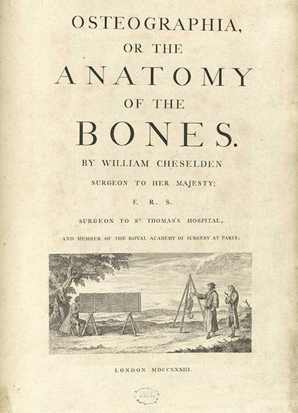 Title page with engraved vignette, Osteographia, or the Anatomy of the Bones, by William Cheselden, 1733, National Library of Medicine (nlm.nih.gov)