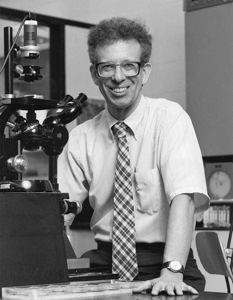 Portrait of Howard Temin, photograph, 1986, University of Wisconsin Archives (news.wisc.edu)