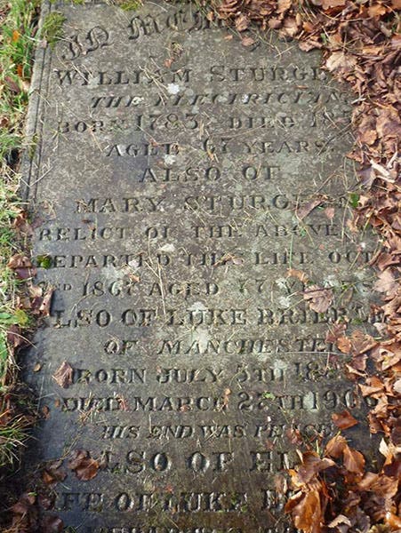 Gravestone of William Sturgeon “The Electrician,” St. Mary the Virgin Churchyard, Bury, Greater Manchester (findagrave.com)