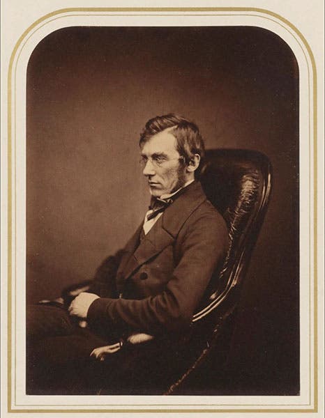 Portrait of Joseph Dalton Hooker, albumen print, ca 1855, National Portrait Gallery, London (npg.org.uk)
