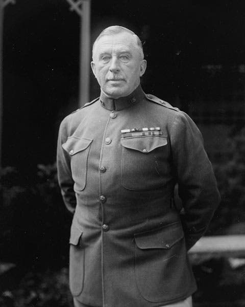 Portrait of Walter Reed, age 50, photograph, 1901 (Wikimedia commons)