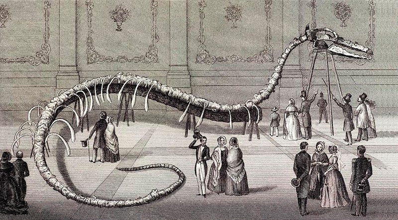 Hydrarchos skeleton, idealized view of Albert C. Koch’s mount, from a 19th-century periodical (hydrarchos.org)