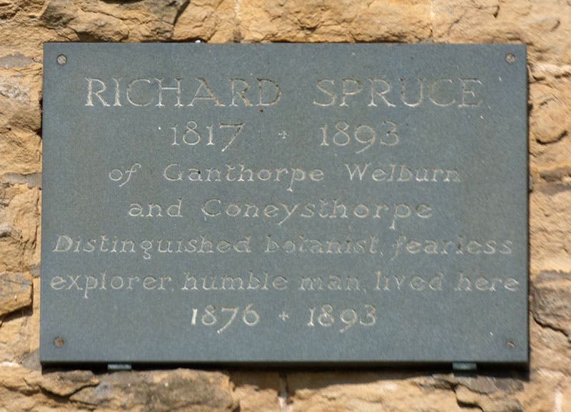 Commemorative plaque on “Spruce House” in Yorkshire, where Spruce lived for the last 17 years of his life (@StrayRambler on Twitter via Elaine Ayers)