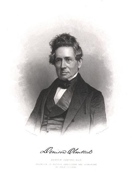 Portrait of Denison Olmsted, engraving by Alexander Hay Ritchie, undated (Smithsonian Institution Libraries)