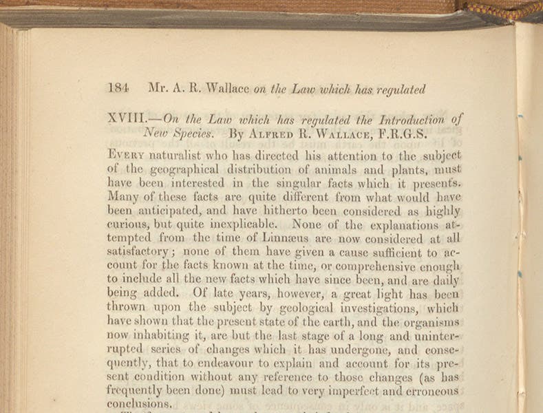 First paragraph of “On the Law which has regulated the Introduction of New Species,” by Alfred Russel Wallace, Annals and Magazine of Natural History, vol. 16, 1855 (Linda Hall Library)
