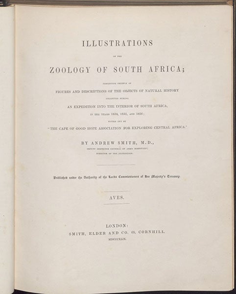 Titlepage, in Andrew Smith, Illustrations of the Zoology of South Africa, vol. 2: Aves, 1849 (Linda Hall Library)