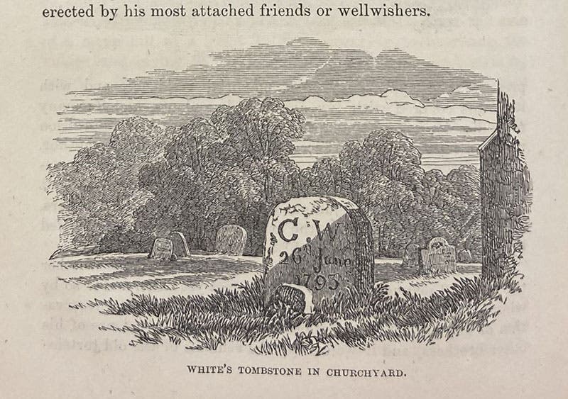 Gilbert White’s tombsone, Selborne chuchyard, wood engraving, The Natural History and Antiquities of Selborne, by Gilbert White, edited by William Jardine, p. xiv, 1853 (Linda Hall Library)