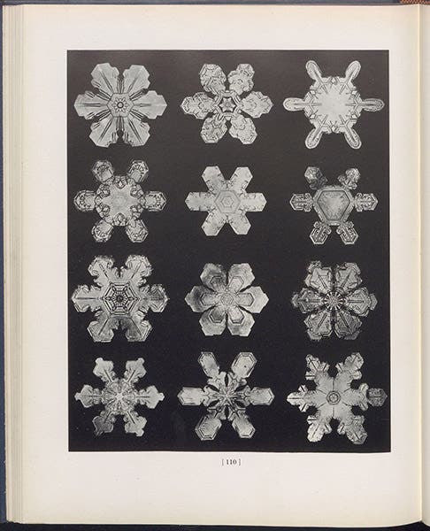 Twelve photomicrographs of snow crystals, plate 110, Snow Crystals, by Wilson A. Bentley and William J. Humphreys, 1931 (Linda Hall Library)