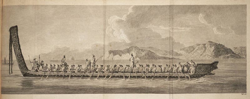 Maori war canoe, as drawn on Cook’s first voyage, in John Hawkesworth, An Account of the Voyages, 1773 (Linda Hall Library)