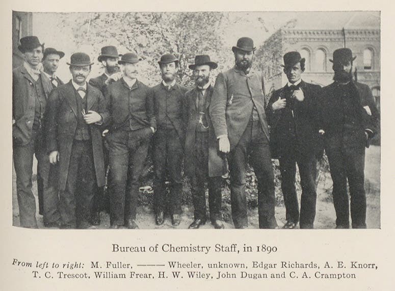 The Bureau of Chemistry at the USDA, photograph, 1890. Wiley is the tall, well-fed individual, third from the right, in Harvey W. Wiley: An Autobiography, 1930 (Linda Hall Library)