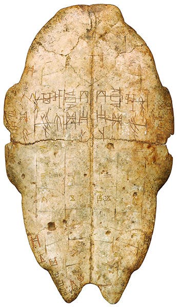Turtle plastron with late Shang dynasty inscription, ca 1200 BCE, Academia Sinica, Taiwan (museum.sinica.edu)