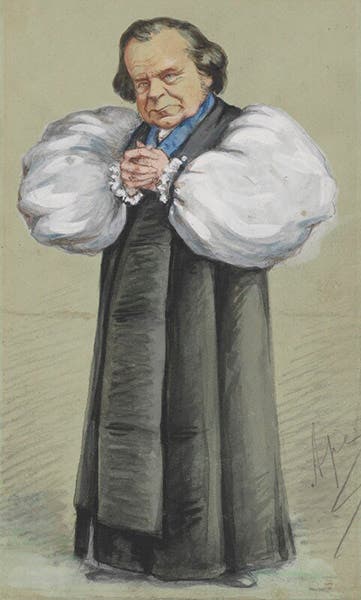 Caricature of Samuel Wilberforce, by Carlo Pellegrini, Vanity Fair, July 24, 1869 (npg.org.uk)