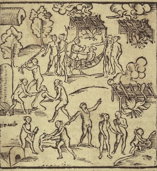 Captives being butchered and roasted by a Tupinamba family group for ritual consumption, woodcut, in Warhaftige Historia und Beschreibung, by Hans Staden, 1557 (Biblioteca Nacional do Rio de Janeiro via archive.org)