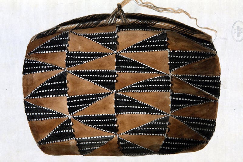 Tongan basket from the Leverian Museum, watercolor by Sarah Stone, 1780s (Australian Museum)