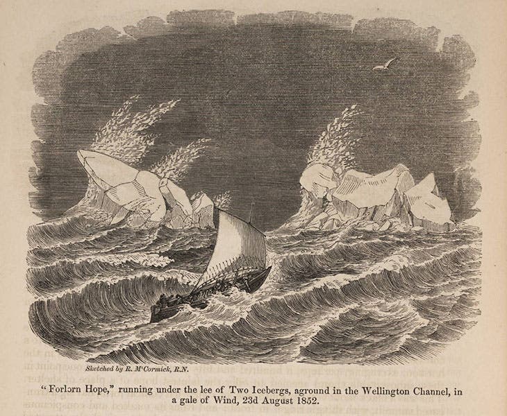 McCormick, crew, and the Forlorn Hope at sea, wood engraving, drawn by McCormick, in: Great Britain, Admiralty, Papers Relative to Arctic Expeditions in Search of Sir John Franklin, 1854 (Linda Hall Library)