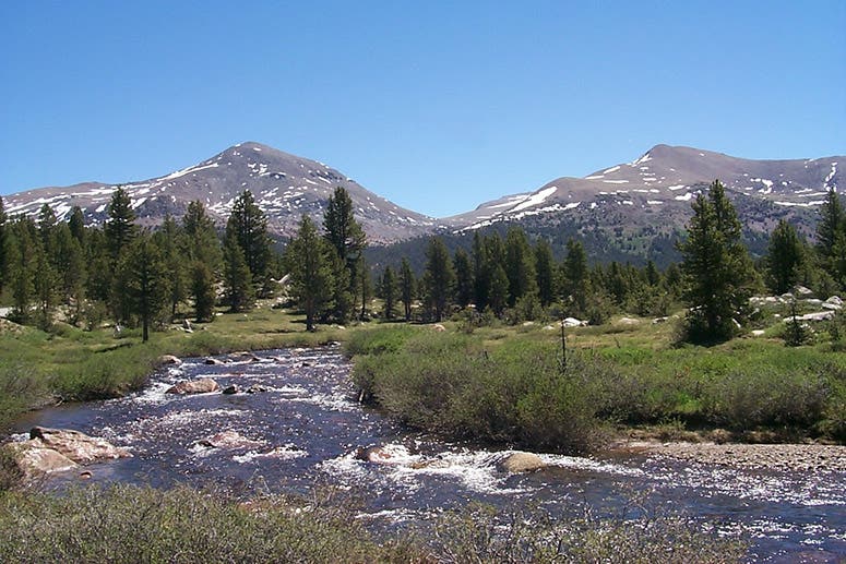 Mount Dana, with an elevation of 13,061 feet, at the eastern boundary of Yosemite National Park, not far from Mount Lyell, 52 feet taller (Wikimedia commons)
