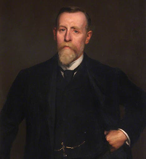 Portrait of Watson Cheyne, oil on canvas, by William Charles Penn, 1906, Royal College of Surgeons, Edinburgh (artuk.org)