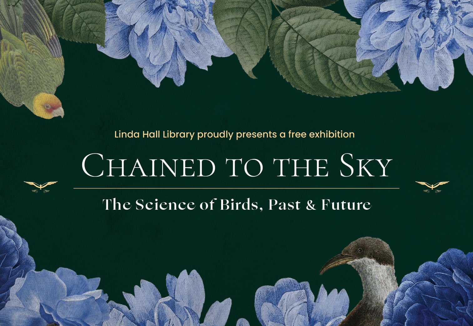 Chained to the Sky: The Science of Birds, Past & Future
