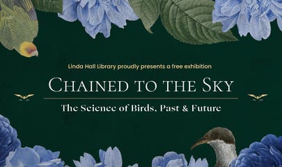 Chained to the Sky: The Science of Birds, Past & Future