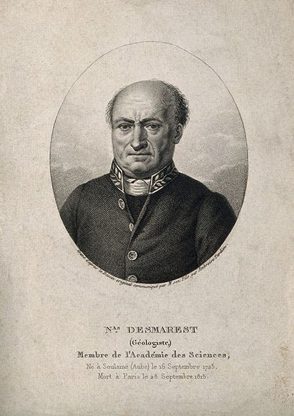 Portrait of Nicolas Desmarest, engraving by Ambroise Tarieu, no date (Wellcome Collection)