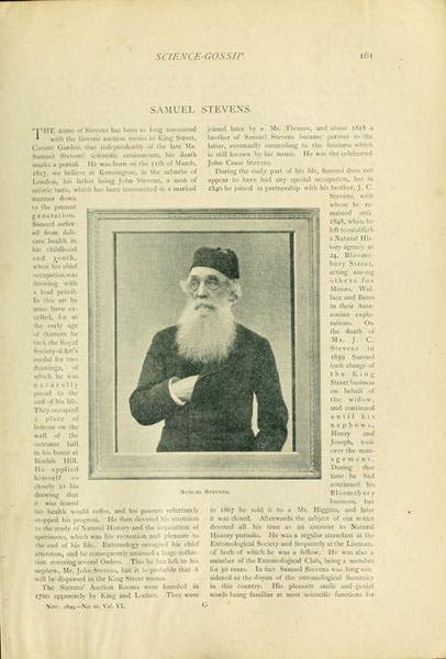 Obituary for Samuel Stevens, with portrait, Science Gossip, 1899 (biodiversitylibary.org)