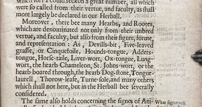 Detail of page listing plants named after their signatures, On the Nature of Things, by Phillip Theophasus of Hohenheim, called Paracelsus, 1650 (Linda Hall Library)