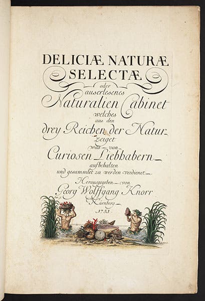 Engraved title page, Georg Wolfgang Knorr, Deliciae naturae selectae, 1766-67 (Linda Hall Library)