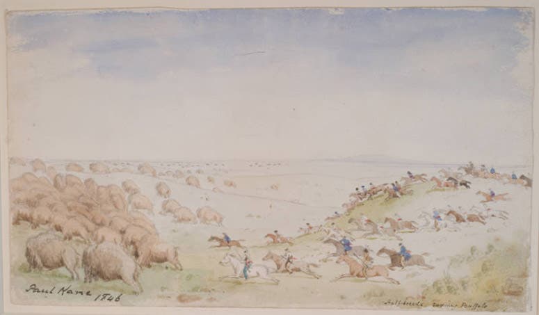 “Métis Chasing a Buffalo Herd,” 1846, watercolor and pencil on paper, Stark Museum of Art (collections.starkculturalvenues.org)