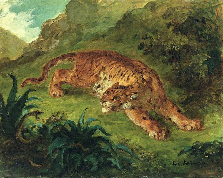 Tiger Startled by a Snake, by Eugène Delacroix, oil on panel, 1858, in Kunsthalle Hamburg (Wikimedia commons)