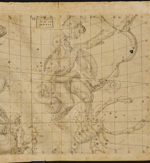 Star map centered on Serpentarius (Ophiuchus), where the Great Conjunction of 1603 and the Nova of 1604 were observed by Johannes Kepler, <i>De stella nova</i>, 1606 (Linda Hall Library)