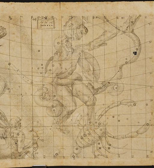 Star map centered on Serpentarius (Ophiuchus), where the Great Conjunction of 1603 and the Nova of 1604 were observed by Johannes Kepler, <i>De stella nova</i>, 1606 (Linda Hall Library) 