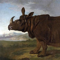 Clara the Rhino, by Jean-Baptiste Oudry, oil on canvas, 1749, Staatliches Museum Schwerin, Germany (Wikimedia commons)
