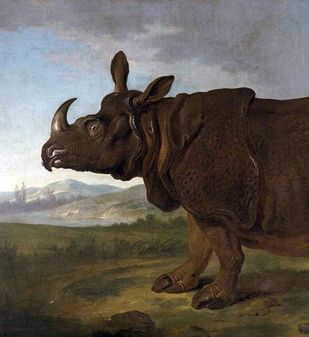 Clara the Rhino, by Jean-Baptiste Oudry, oil on canvas, 1749, Staatliches Museum Schwerin, Germany (Wikimedia commons)