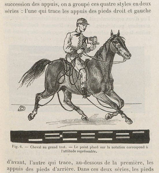 A horse wired for measuring its leg motions, with graphical results below, Étienne-Jules Marey, Le movement, 1894 (Linda Hall Library)