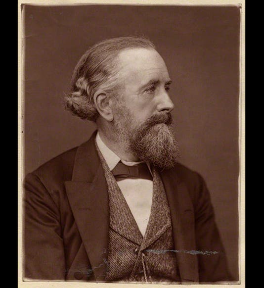 by Lock & Whitfield, woodburytype, 1880 or before