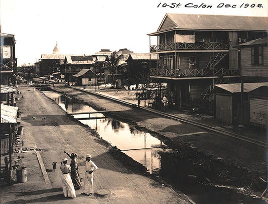 Standing water and unpaved roads in Colon, Panama,1905 (Linda Hall Library)