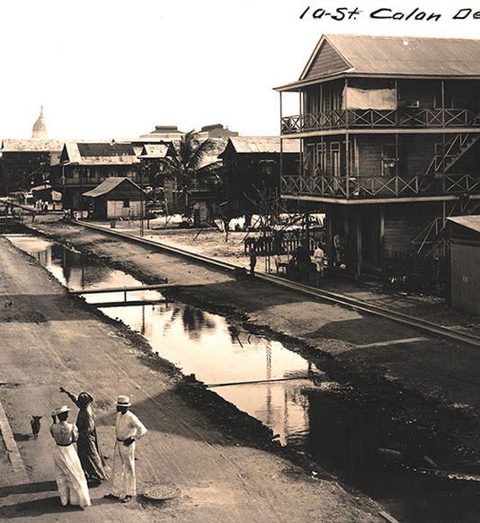 Standing water and unpaved roads in Colon, Panama,1905 (Linda Hall Library)