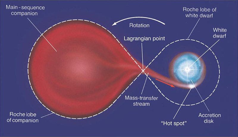 Diagram of a binary star system, showing the Roche lobes of a red giant star (left) and a white dwarf (slideplayer.com)