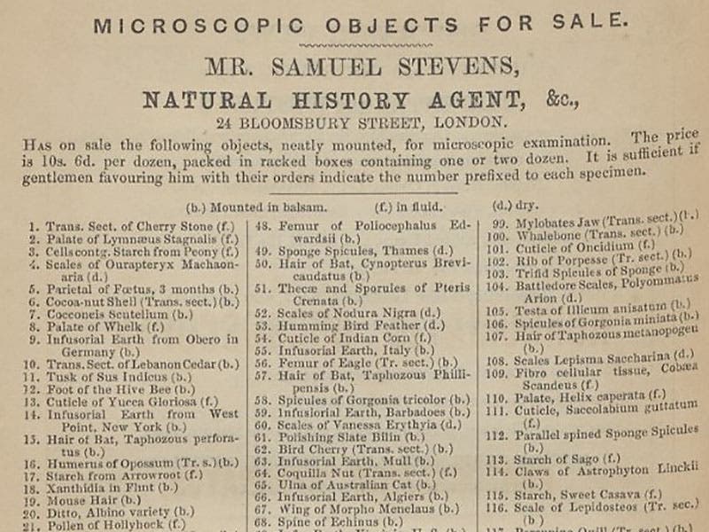 List of prepared slides for sale by Samuel Stevens, full-page ad at the end of Jabez Hogg, The Microscope: Its History, Construction, and Applications, 1856 (Linda Hall Library)List of prepared slides for sale by Samuel Stevens, detail of full-page ad at the end of Jabez Hogg, The Microscope: Its History, Construction, and Applications, 1856 (Linda Hall Library)