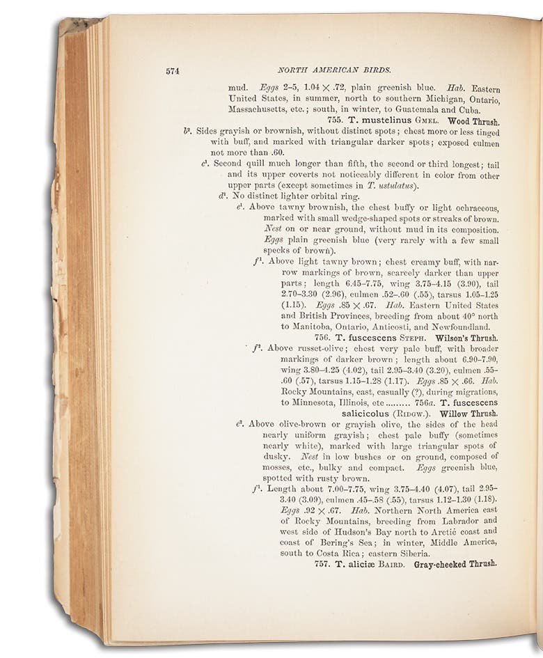 Ridgway, Robert. A Manual of North American Birds. Philadelphia: J. B. Lippincott Company, 1887. View Source.
