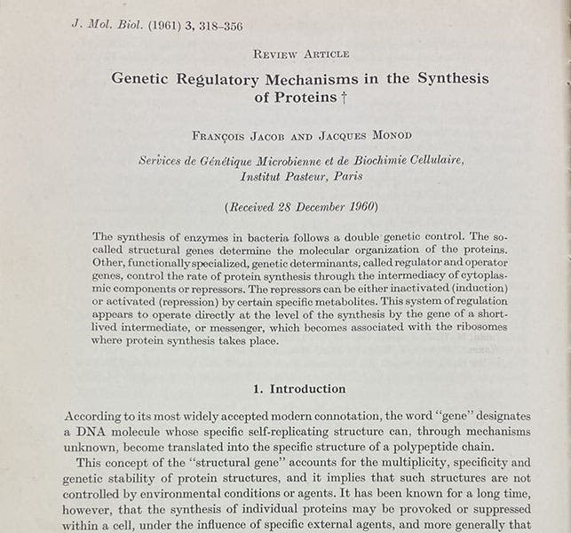 First paragraph, “Genetic regulatory mechanisms in the synthesis of proteins,” paper in which messenger RNA (mRNA) is first proposed, Journal of Molecular Biology, vol. 3, p 318, 1961 (Linda Hall Library)
