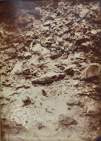 Close-up showing hand-axe in quarry-pit wall, detail of first image, photograph taken Apr. 27, 1859, Saint-Acheul, Geological Society archives (geolsoc.org.uk)