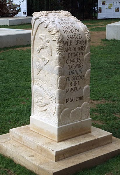 Stele outside the Oxford University Museum of Natural History, commemorating the Wilberforce-Huxley debate (Wikimedia commons)