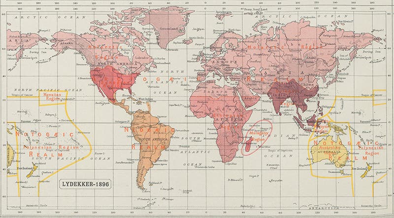Lydekker’s map (fifth image) redrawn, in John George Bartholomew, Atlas of Zoogeography, 1911 (Linda Hall Library)