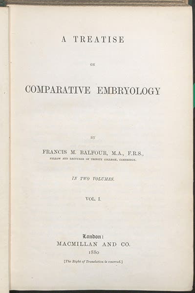Title page, Francis M. Balfour, A Treatise on Comparative Embryology, vol. 1, 1880 (Linda Hall Library)