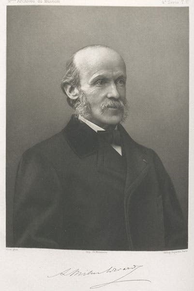 Portrait of Alphonse Milne-Edwards, heliogravure, Nouvelles Archives du Muséum d’Histoire Naturelle, ser. 4, vol. 2, 1900 (Linda Hall Library)