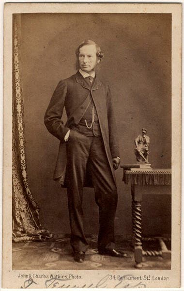 Portrait of John Tenniel, carte-de-visite, 1862, National Portrait Gallery, London (npg.org.uk)