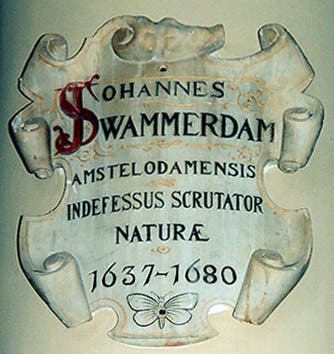 Memorial plaque for Jan Swammerdam, “tireless scrutinizer of Nature,” Amsterdam (janswammerdam.org)