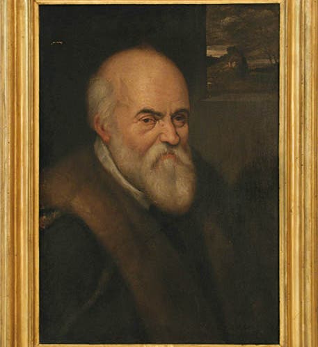 Portrait of Ulisse Aldrovandi, oil painting, unknown artist, late 16th century (Museo di Palazzo Poggi, University of Bologna)