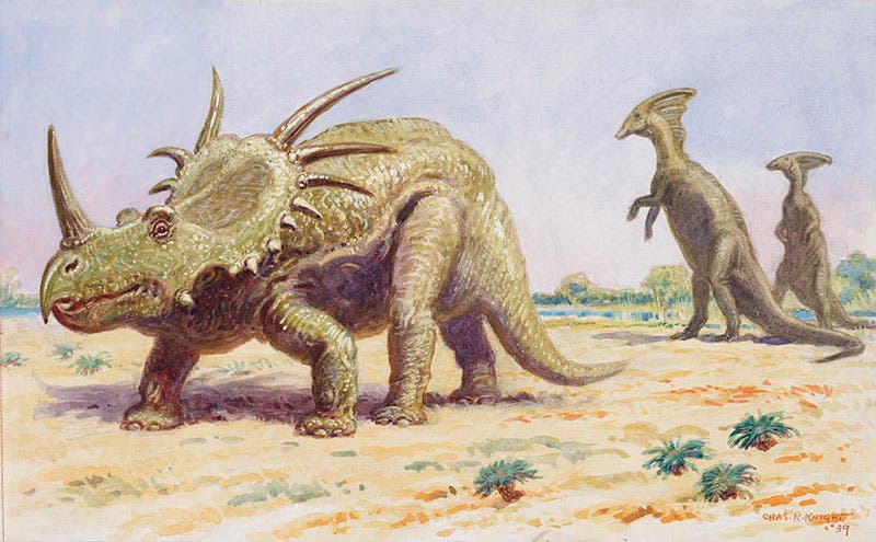 Charles Knight, Styracosaurus and Parasaurolophus, 1939